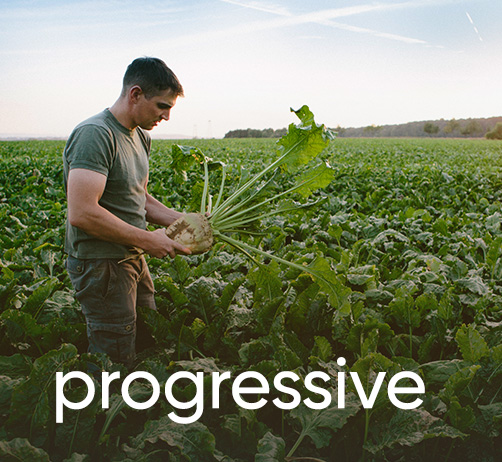 man picking vegetables in a field